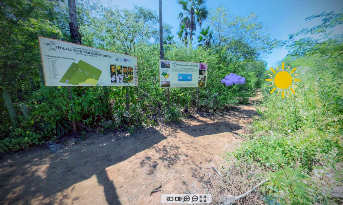 Realidade virtual faz pessoas andarem por trilhas da Caatinga