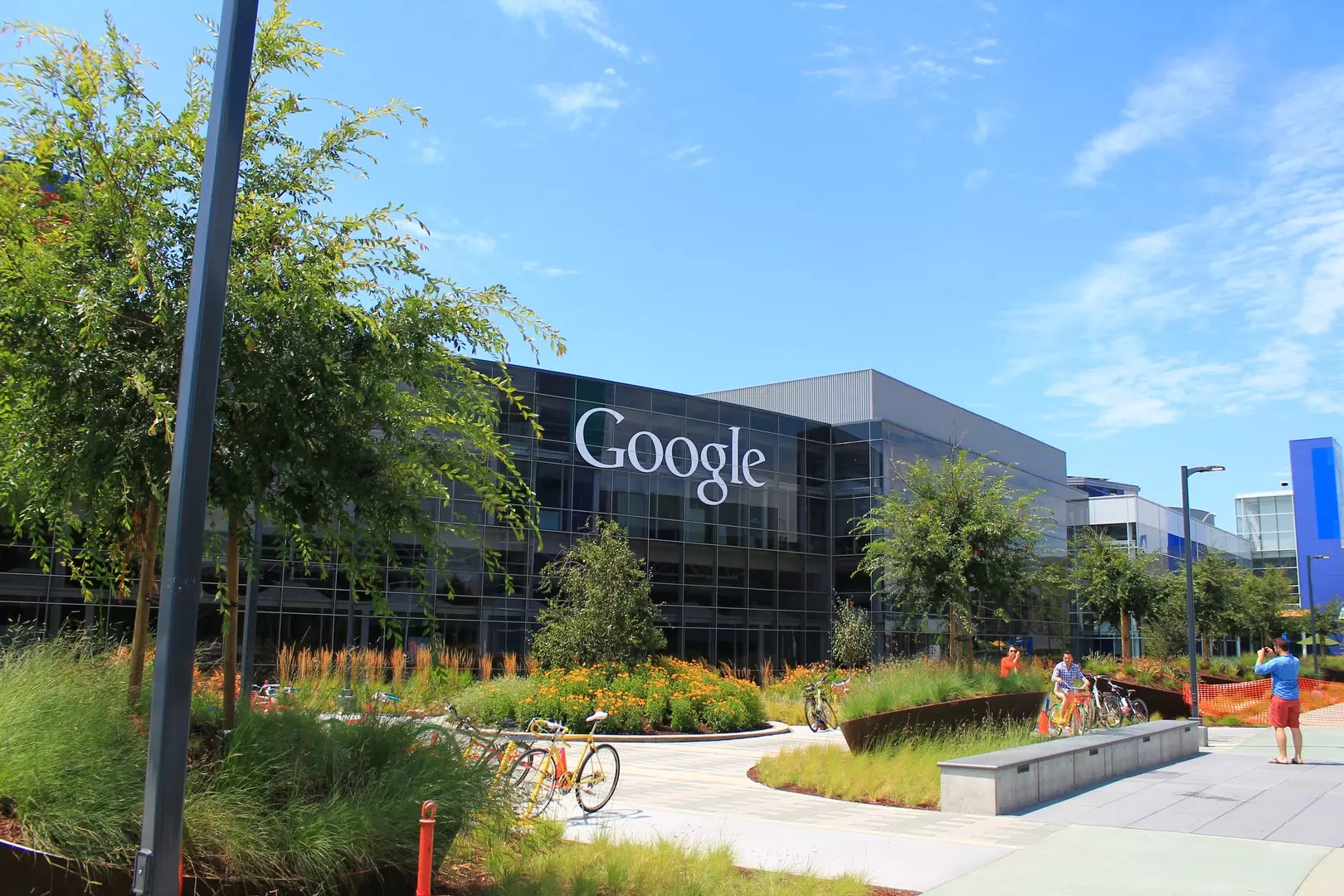 Conheça a história do Google, A gigante da internet.